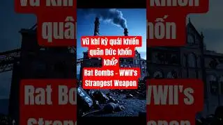 Vũ Kh&iacute; Kỳ Qu&aacute;i Khiến Đức Quốc X&atilde; Hoảng Loạn ? #shortvideo #WW2History #SecretWeapons