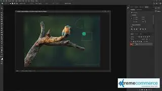 💻 Photoshop Crash Course for Beginners | Full Graphic Design Training 2025(Lecture 6)