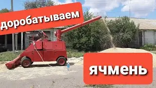 Перерабатываем ячмень.ПС 10 в работе.15.06.2020