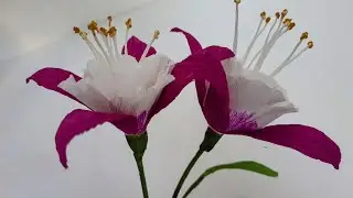 Simple & Stunning: DIY Crepe Paper Flower Guide | Easy crepe paper flowers