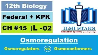Osmoregulation in Animals | Osmoregulators and Osmoconformers Class 12 Biology Chapter 15