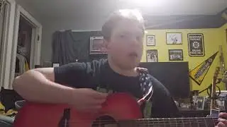 Joe Pettibone- Nutshell (Alice In Chains Cover) (Original Tuning)