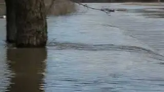 Fremont Weir.MPG
