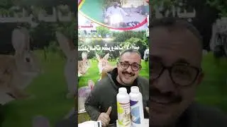 كلام في الارانب مع ارانب راشد الجزء الثاني
