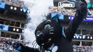 Carolina Panthers Lose But The Fans Still Win!!!