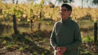 Regenerative Viticulture In The McLaren Vale Wine Region