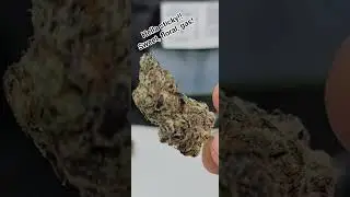 California Gold Farm | Gushers