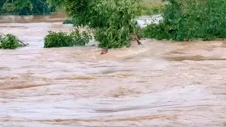NORDESTINOS DO CEARÁ E ENGOLIDO PELAS ÁGUAS 09/07/25