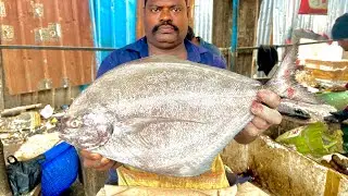 KASIMADU SPEEDSELVAM BIG BLACK POMFRET FISH CUTTING VIDEO #kasimeduselvam #fishcutting 