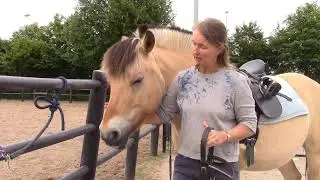 Opzadelen en hoofdstel indoen