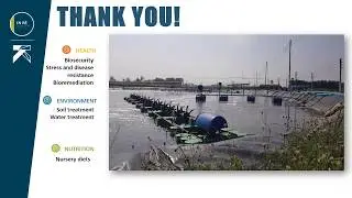Approach to Shrimp Farming