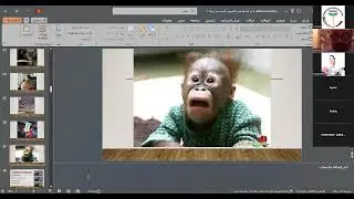 Anesthesia Lectures for Sudan: Lecture 6: Basic Concepts of Ultrasound (Dr. Yasser Reda)