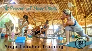 Yoga Teacher Training (Power of Now Oasis)
