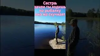 И так я живу #енот #meme #pedro #sigma