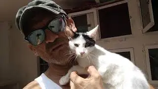 VARITO GATITO DE LA CALLE