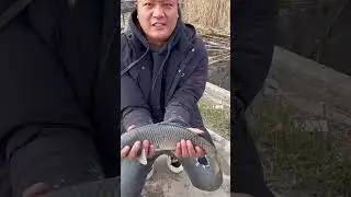 Watch How This Giant Machine Makes Pond Cleaning Look Easy!