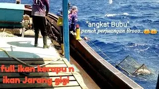 jejak Marcopolo-7
#fishingtrap.isi Bubu full ikan Kerapu kuning n kakap merah