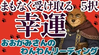 🐶もうすぐあなたが手に入れる幸せ！まもなく受け取る「幸運」！おみくじっぽい「５択」リーディング🐶わんこたちに聞く🐶おおがみさんのわんわんリーディング【オラクルカードリーディング】🐶
