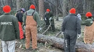 State prison crews help with storm cleanup in Custer State Park