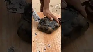 What's REALLY Inside a Starfish?