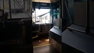Coronado Springs Resort Bus leaves Disney's Animal Kingdom