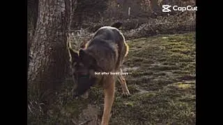 This song is so calming to me ngl. (Template.)