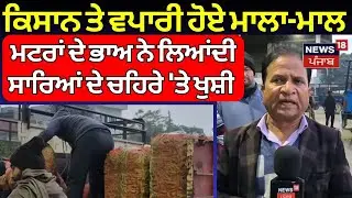 Samana News | ਕਿਸਾਨ ਤੇ ਵਪਾਰੀ ਮਾਲਾ-ਮਾਲ, ਮਟਰਾਂ ਦੇ ਭਾਅ ਨੇ ਲਿਆਂਦੀ ਖੁਸ਼ੀ | Vegetables Rate | N18V