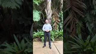 Optimal Health Program Introduction