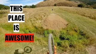 CABLE BAY - PROVIDING THE GOODS! | A MUST DO..