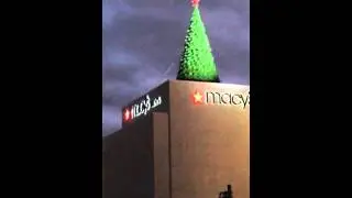 Macy's Lighting of Great Tree 2014