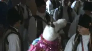 Dubasii din Batesti partea 2
