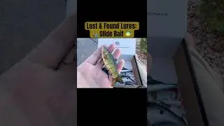 Lost & Found Lures: Glide Bait #fishing #fishinglures #glidebait