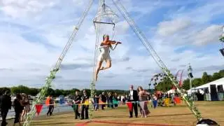Aerial Violin Musical Glitterati