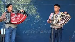 Concertinas da Barrenta em Alquerubim Albergaria-a-Velha, 2025