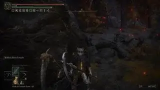 Elden Ring: Mad Pumpkin Head Spirit Can Hit Me?!