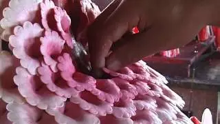 Tormas à Mirik