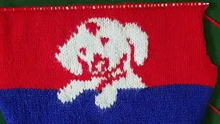 Dog Design for  sweater