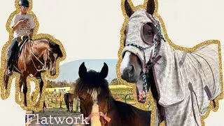 Zaliah and Jack AFTERNOON AS A EQUESTRIAN💗🏇🎠😊 