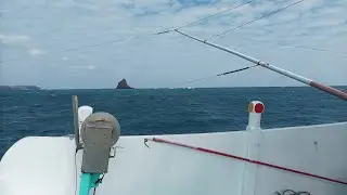 01-10-26-Taiwan fishing operation longline catch king mackerel using artificial bait.good p.m.#live