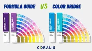 Pantone Formula Guide x Pantone Color Bridge