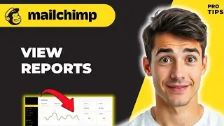 How To Understand Mailchimp Reports And Analytics (Easiest Way) (2026 Guide)