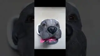 Caneca pet realista em biscuit: transformei um American Bully em arte