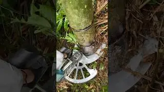 Electric Bamboo Cutting Machine: Professional Bamboo Sawing Tool for Precise Cuts