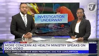 More Concern as Health Ministry Speaks on Dog Video | TVJ News