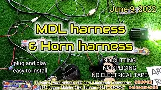 8 June 2022 MDL harness and Horn harness plus Bristol Veloce