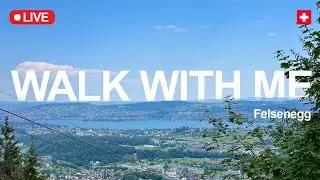 Relaxing Virtual Walk in a Swiss Forest 🏞️ Zurich, Switzerland