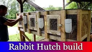 Building a 3 cage Rabbit Hutch