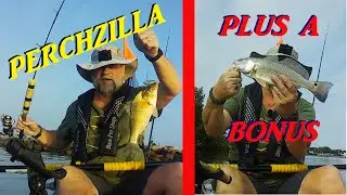 Рыбалка на каяке - Окунь??