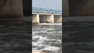 #gokul bairaj mathura #uttarpradesh ll 🌊🌊🔥🔥❣️❣️🌊🌊🌊🥰🥰🙏#shorts
