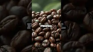 Would You Drink $600 Coffee From Poop? ☕🐾 #facts #coffee #animals #curiosity #shortsviral #life